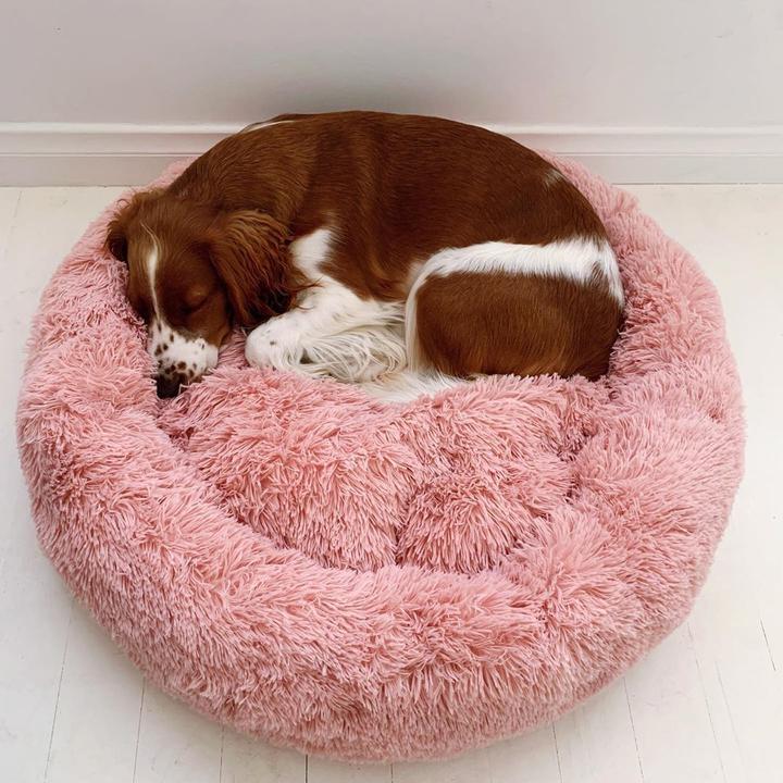 Cosy Calming Dog Bed