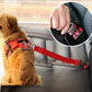 Car Safety Belt Attachment