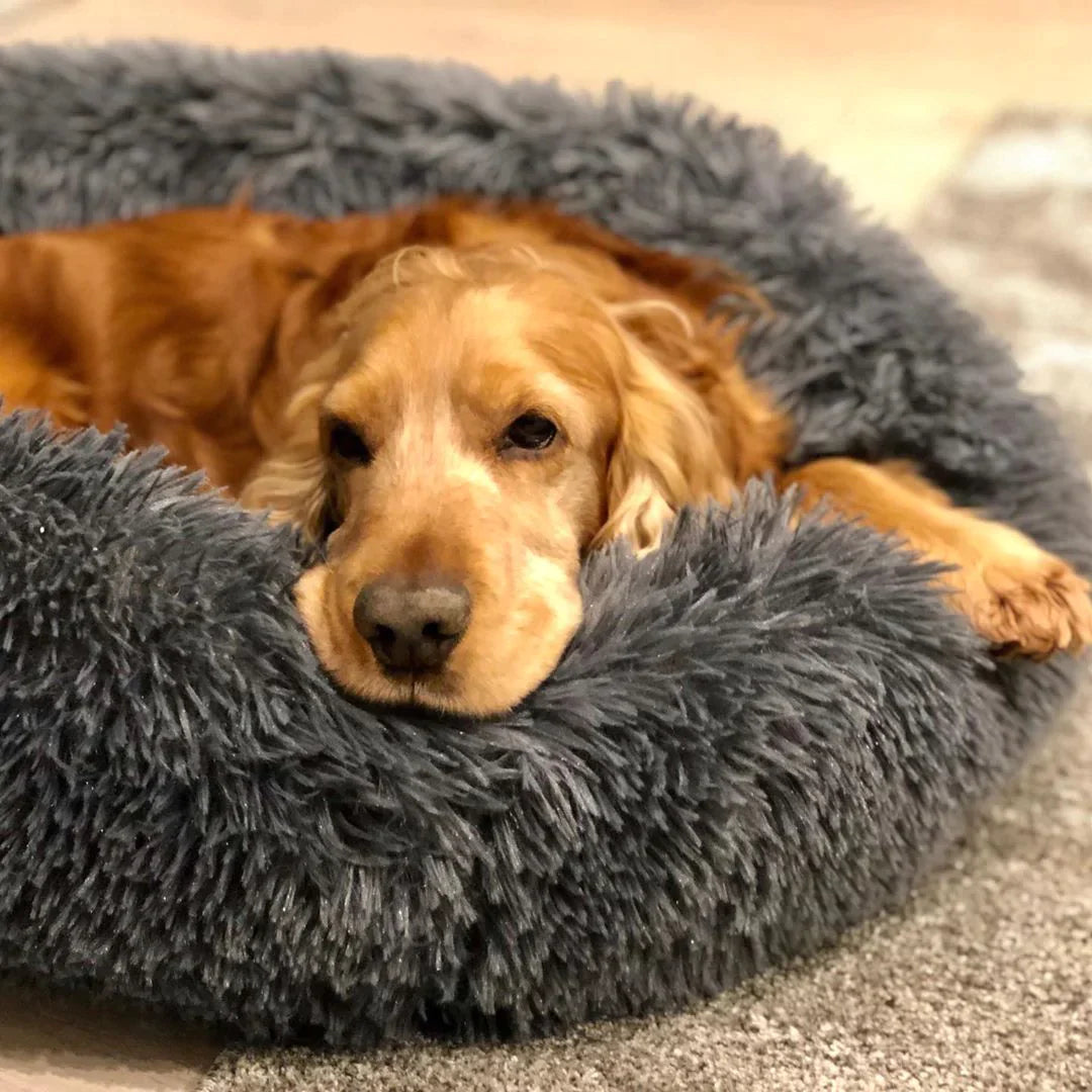 Cosy Calming Dog Bed