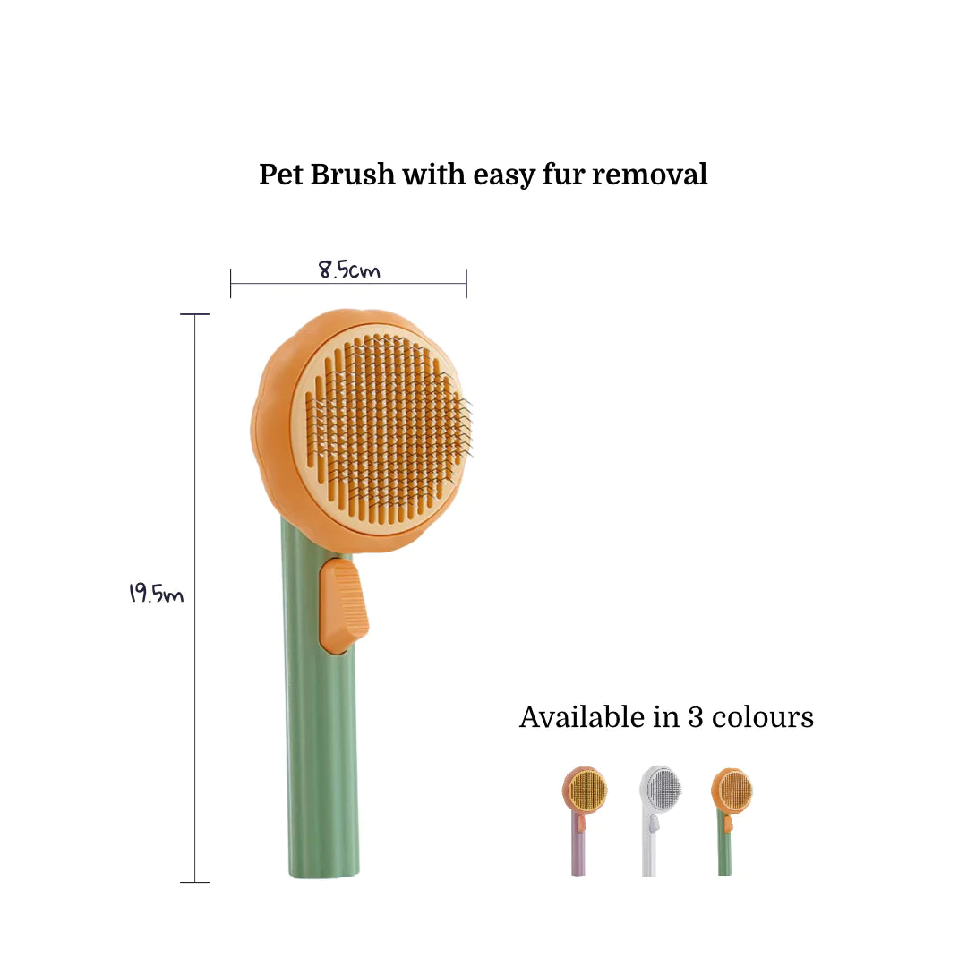 Pet Brush